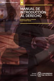 Manual de Introducción al Derecho (ebook)